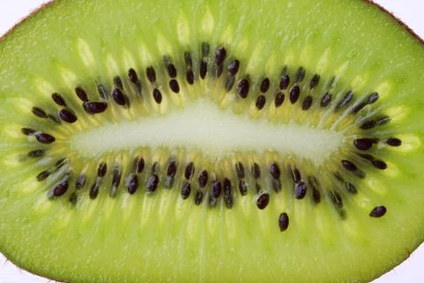 Kiwi slice background Stock-Fotos