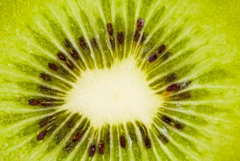 Kiwi slice Stock Photos