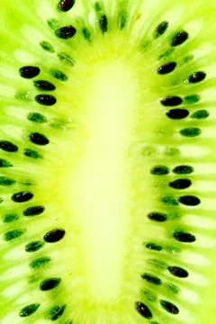 Kiwi slice Stock Photos