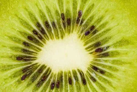Kiwi slice Stock Photos