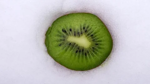 Kiwi in the snow in the cold winter Stock Footage 259477119