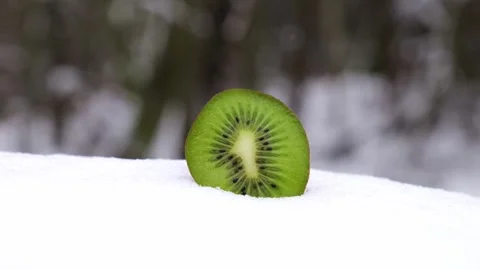 Kiwi in the snow in the cold winter Stock Footage 259484331