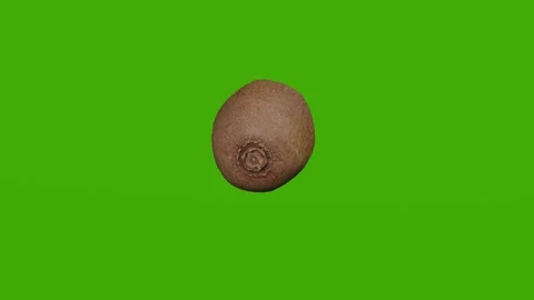 Kiwi spinning on a green screen. Stock Footage 279342980