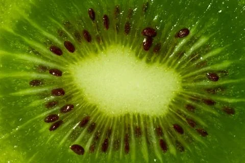 Kiwi texture Stock Photos