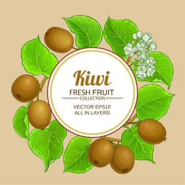 Kiwi vector frame Illustrazione stock