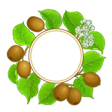 Kiwi vector frame Stock Illustration