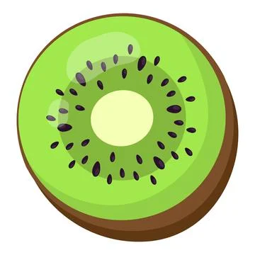 Kiwi vector illustration on white background Stock-Illustration