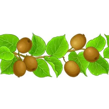 Kiwi vector pattern Stock Illustration