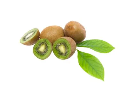 Kiwi on white background. Composition of kiwi on white background. Stock Photos
