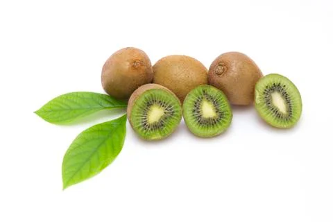 Kiwi on white background. Composition of kiwi on white background. Stock Photos