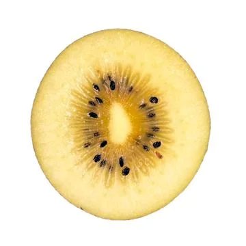 Kiwi on white background Stock Photos