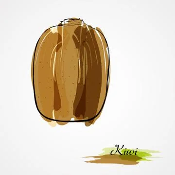Kiwi whole Stock Illustration
