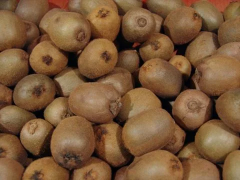 Kiwis Stock Photos