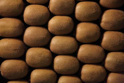 Kiwis Stock Photos