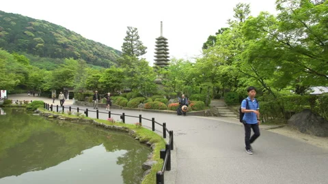Kiyomizu-dera is a Buddhist temple complex in Kyoto Japan Stock Footage 105141706