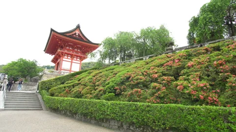 Kiyomizu-dera is a Buddhist temple complex in Kyoto Japan Stock Footage 105141878