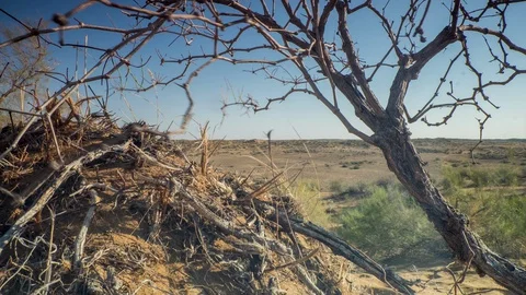 Kizilkum desert Stock Footage 128937623