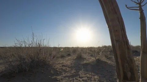 Kizilkum desert sunset timelapse Stock Footage 128937828