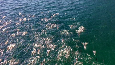 KKA0001 004 Stock Footage 153240920