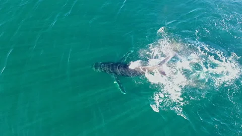 KKA0001 007 Stock Footage 153233059