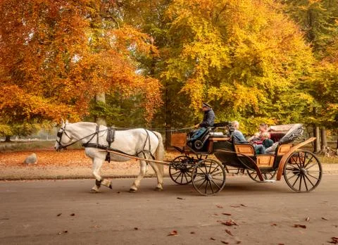 Klampenborg, Denmark - 15 october 2018: White horse with coachman and carriage Stock Photos
