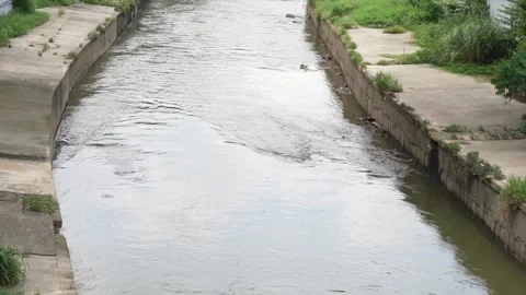 Klang River is a river which flows through Kuala Lumpur and Selangor in Malaysia Stock Footage 264469031