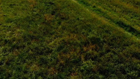 Klaukkala, field. Video stock 92712621