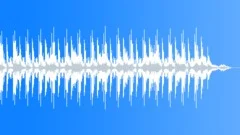 The Klaus Directive (WP) 01 MTStock Music