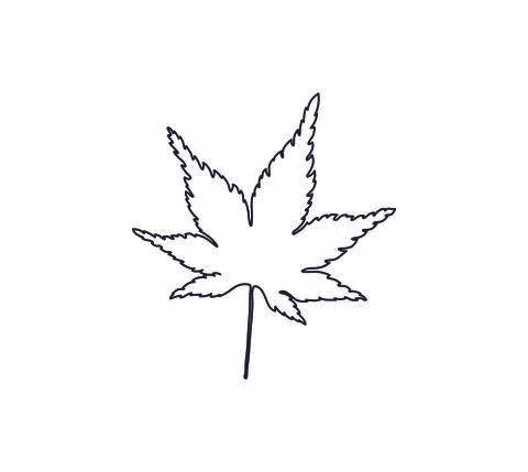 Klen Stock Illustration