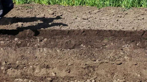 Klip 09 Stock Footage 130604972