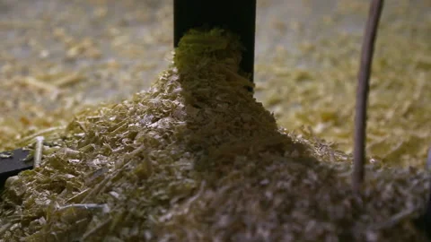 Klip 12 Stock Footage 130605918