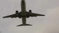 KLM Plane coming in for landing HD Footage