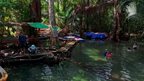 Klong root Drone 1 Stock Footage 282020924