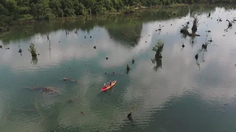 Klong root Drone 10 Stock Footage 282035852