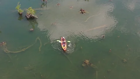 Klong root Drone 11 Stock Footage 282036390