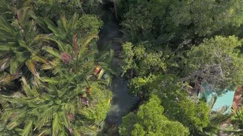 Klong root Drone 3 Stock Footage 282022485