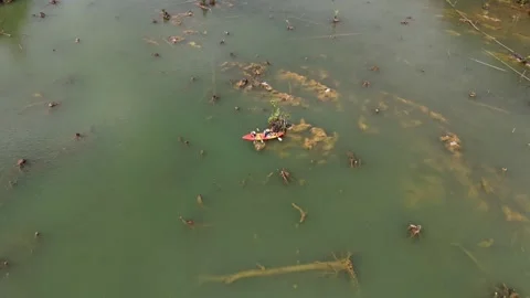 Klong root Drone 7 Stock Footage 282023773