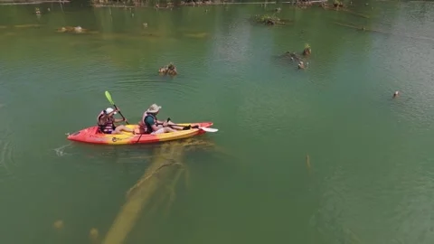 Klong root Drone 8 Stock Footage 282024110