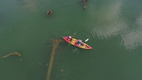 Klong root Drone 9 Stock Footage 282034314