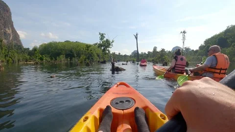 Klong root Go pro 1 Stock Footage 282340953