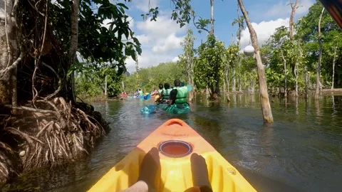 Klong root Go pro 3 Stock Footage 282339026