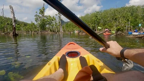 Klong root Go pro 4 Stock Footage 282314326