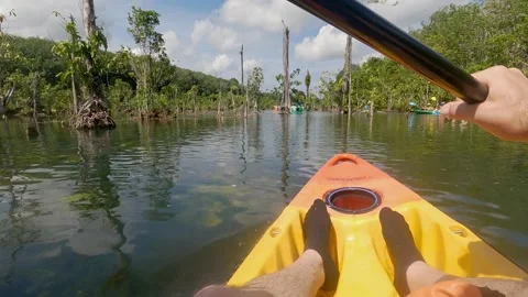 Klong root Go pro 5 Stock Footage 282313457
