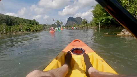 Klong root Go pro 6 Stock Footage 282307254