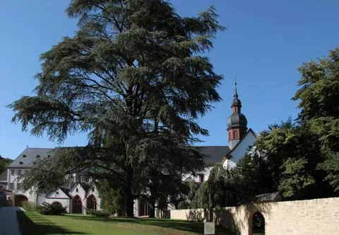 Kloster Eberbach Kloster Eberbach bei Kiedrich im Rheingau, Hessen Copyrig... Stock Photos