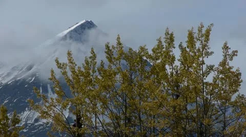 Kluane Fall Colors Stock Footage 8992132