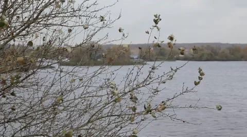 Klyazminskoe reservoirs Video stock 48897853