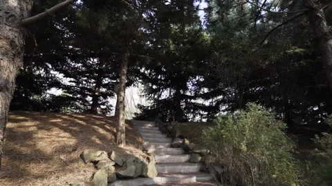 Kn 2 Video stock 156811128