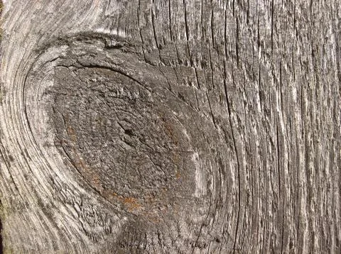 Knag Gray Stock Photos