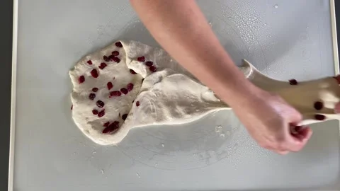 Kneading cranberries into dough Stock Footage 341983141